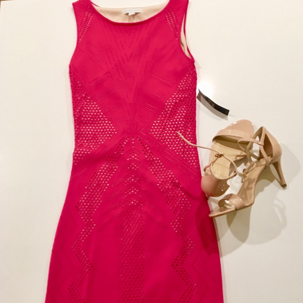 New York & Company Bright Pink Dress; W/ Tags!